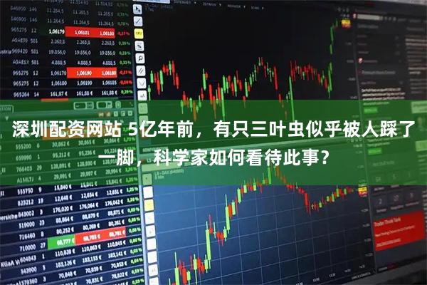 深圳配资网站 5亿年前，有只三叶虫似乎被人踩了一脚，科学家如何看待此事？