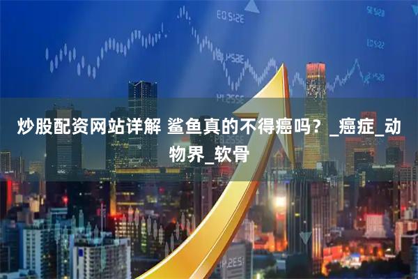 炒股配资网站详解 鲨鱼真的不得癌吗？_癌症_动物界_软骨