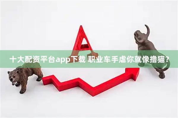 十大配资平台app下载 职业车手虐你就像撸猫？